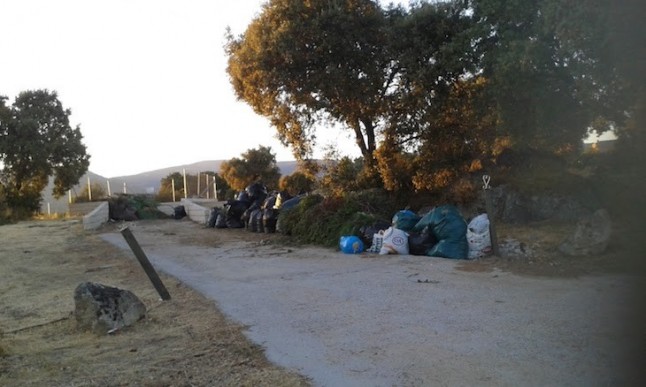 Denunciada la empresa de recogida de podas de Valdemorillo