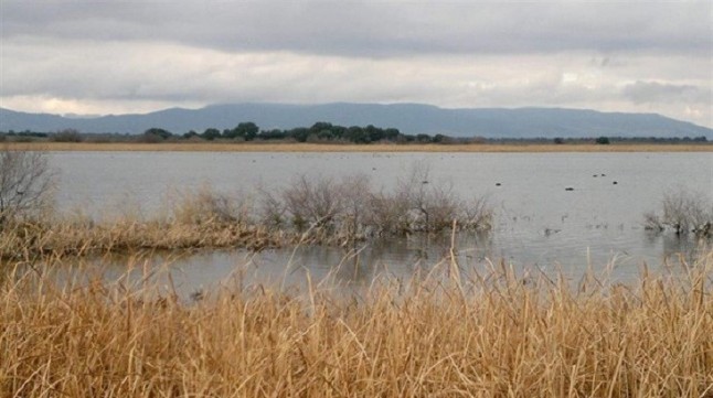 LAlbufera centra el debate sobre el cambio climático para salvar a naturaleza y humanidad de la "extinción"