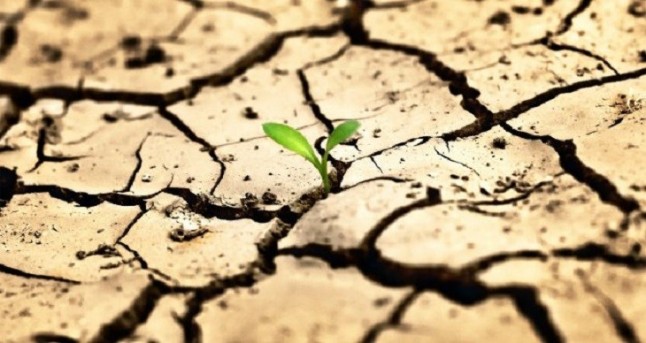 Las leyes de residuos y cambio climático de Baleares en la línea de las exigencias europeas