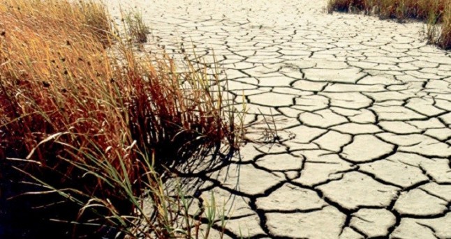 La Amazonia se expone a más calentamiento y sequías prolongadas