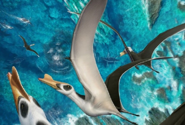 Descubierto el pterosaurio más grande de la península ibérica