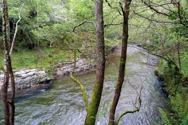 Asturias. Escalas taponadas río Esva