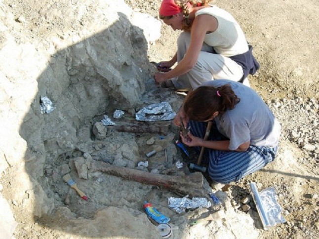 Se publica el estudio más completo del yacimiento de hadrosaurios más importante de Europa