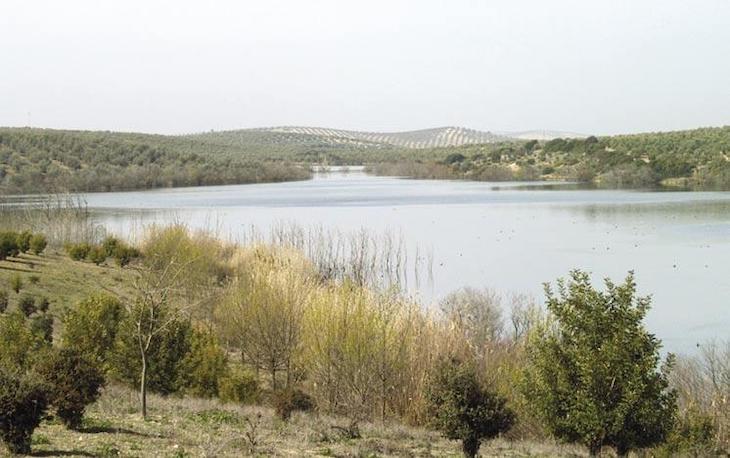 Eliminando barreras artificiales para los peces del río Guadaíra
