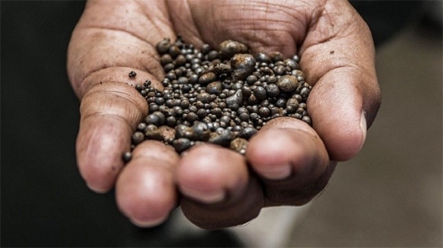 Un mundo lleno de cobre ayudó a los animales a colonizar la Tierra