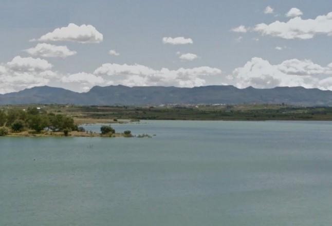 Fundación Limne acondiciona el embalse de Bellús (València) con un bosque de ribera en el entorno