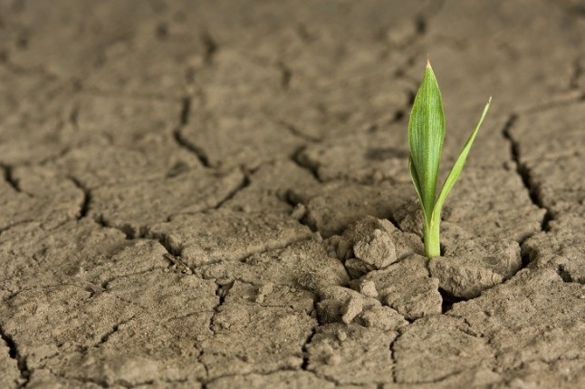 El Gobierno reconoce por primera vez una reducción de la disponibilidad hídrica por el cambio climático del 20-30%