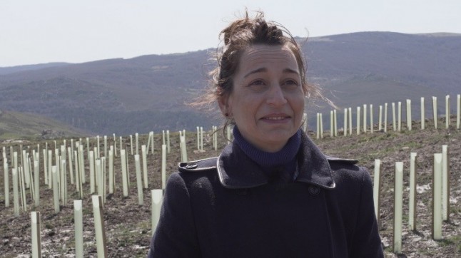 El anuncio más verde