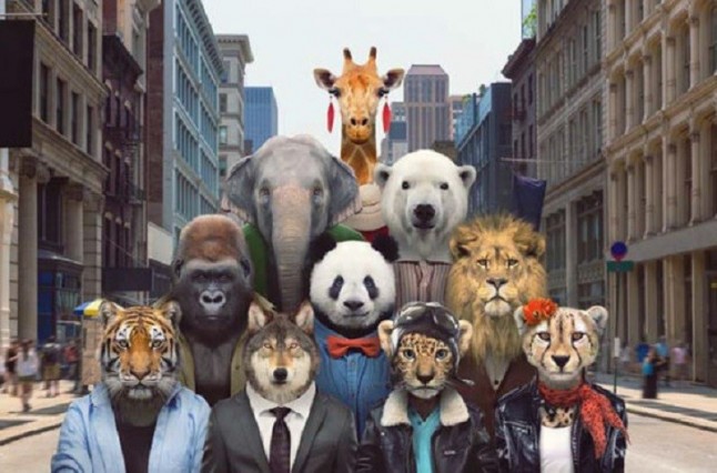 Animales que mueren de ÉXITO