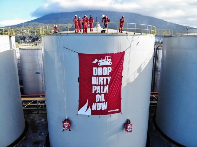 Greenpeace pone en su punto de mira en una refinería de aceite de palma en Indonesia