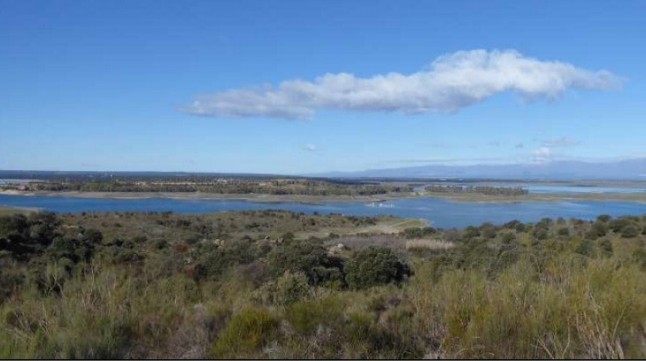 Demoledor informe pericial científico contra el complejo urbanístico Marina Isla de Valdecañas