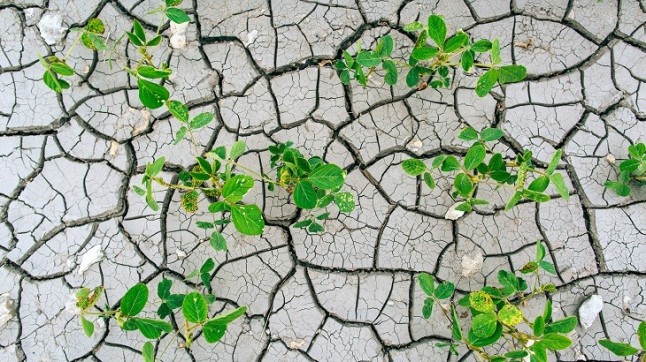 El Gobierno declara la guerra en todos sus frentes al cambio climático