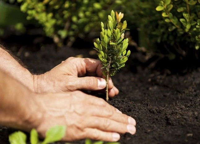 IMF School nos presenta su Máster en Calidad