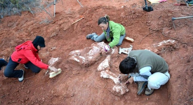 Aparece en Argentina la dinosauria gigante más antigua