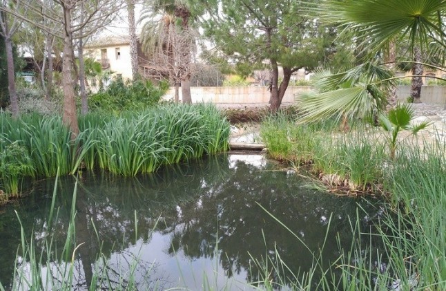 Humedales artificiales que depuran aguas residuales