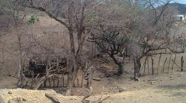 Costos del cambio climático en la región Tierra Caliente