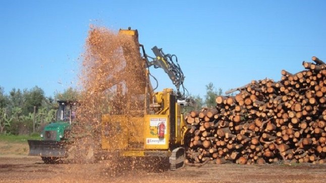 Extraen miles de toneladas de biomasa de los montes públicos andaluces