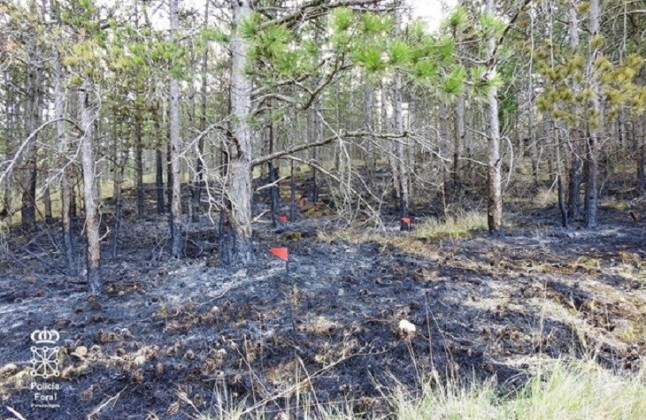 Denunciado el presunto autor de un incendio de Puente la Reina