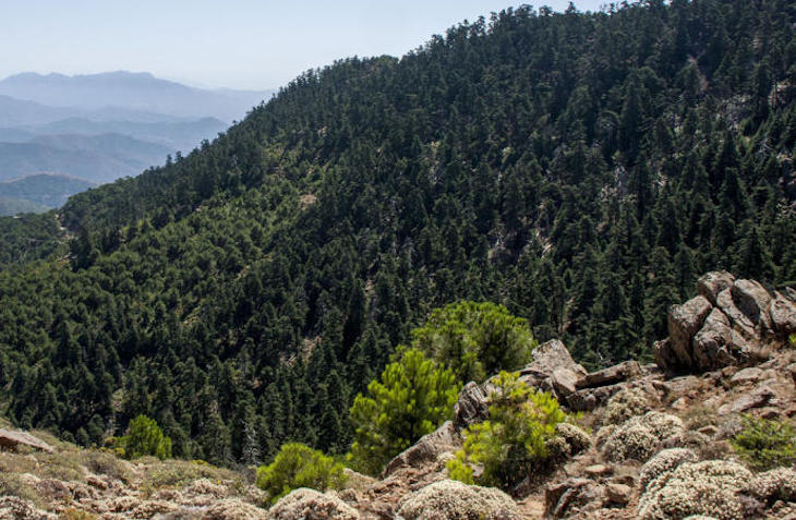 Obras de mejora del acceso a Los Reales en Sierra Bermeja