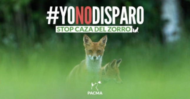 #YoNoDisparo: Concentración en Vigo contra la caza de zorros