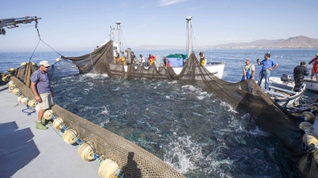 Identifican las áreas del Mediterráneo más amenazadas por el impacto de la actividad humana