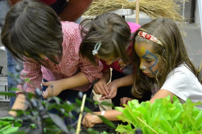 Festival ecológico de la infancia