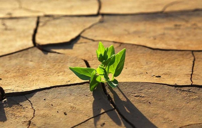 100 años de cambio climático
