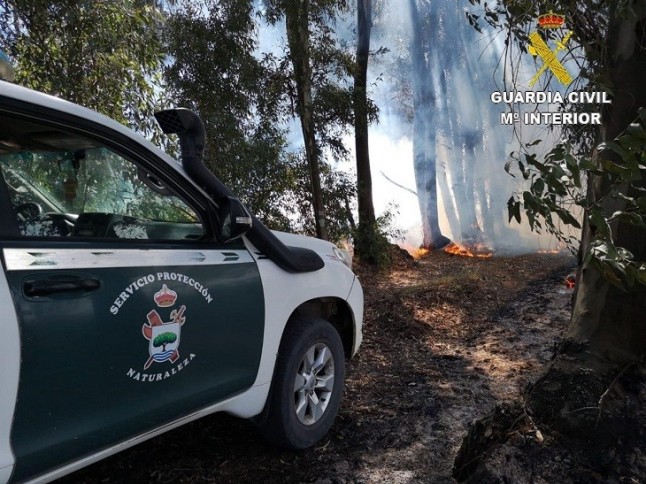 Dos investigados por el incendio en Almonte (Huelva)