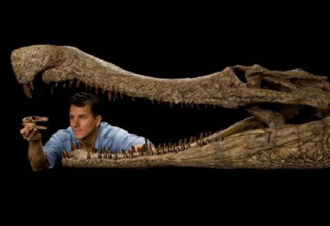 Nuevas especies de mamíferos en la digestión fosilizada de cocodrilos