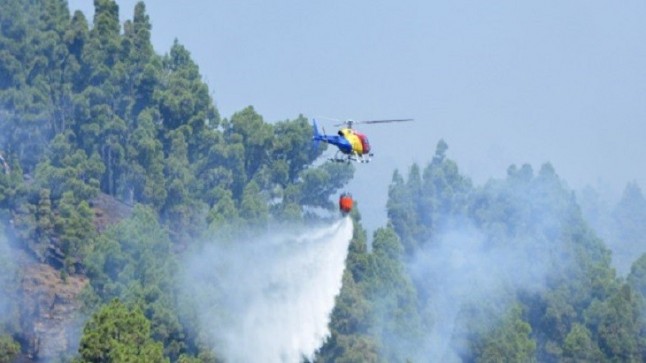 El incendio de Granadilla (Tenerife) afecta ya a 220 hectáreas de pinar y matorral