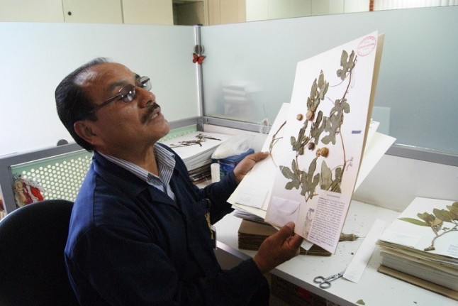 Herbario Nacional de México