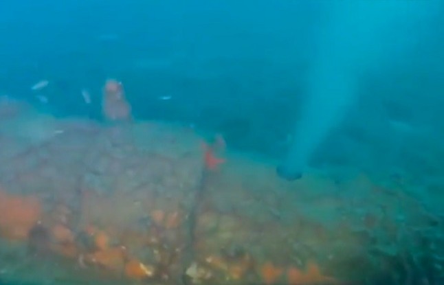 Alertan por un vertido de aguas residuales y mal estado del emisario cercano al Parque Natural de Ses Salines