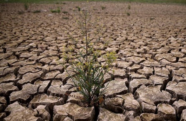 Las dramáticas consecuencias del cambio climático