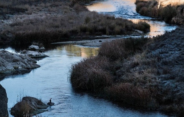 España vs Día Mundial del Agua