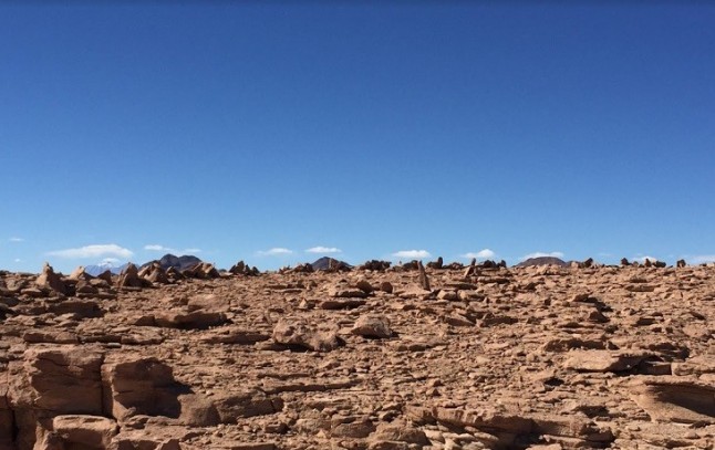 El cambio climático provocaría transformaciones radicales en los ecosistemas terrestres del planeta