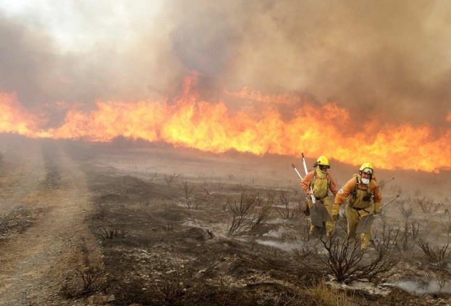 Avances frente a los grandes incendios forestales