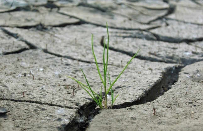 69 medidas para proteger la vida y el planeta