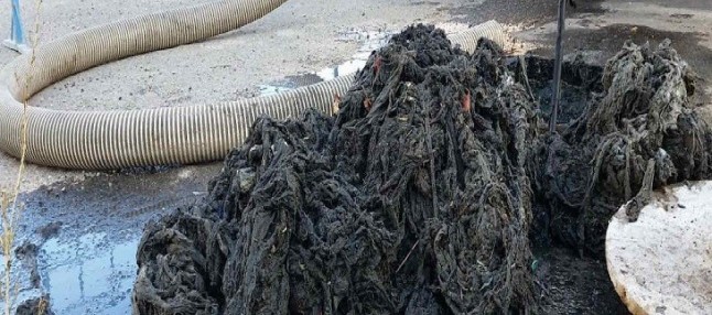 Elaboran una guía para luchar contra las toallitas desechables por el inodoro