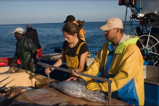 Desarrollo sostenible de la industria pesquera en el Cantábrico Noroeste