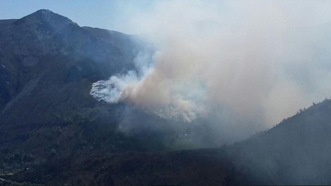 Asturias. No vamos a permitir que los ganaderos cobren subvención por los montes quemados