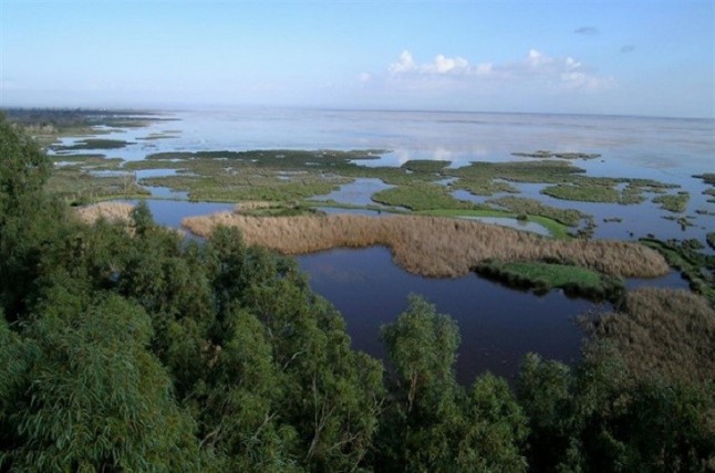 La Junta destaca la previsión de nueve millones para el Espacio Natural de Doñana para el año 2019