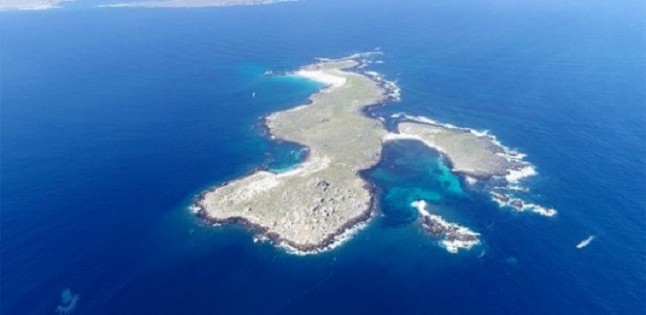 Archipiélago Humboldt es declarado “lugar de esperanza” por su importancia biológica