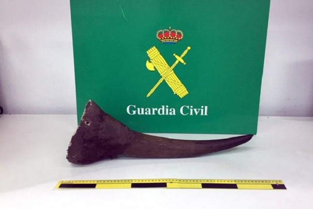 Detienen a tres personas en Mallorca por robar un cuerno de rinoceronte valorado en más de 400.000 euros