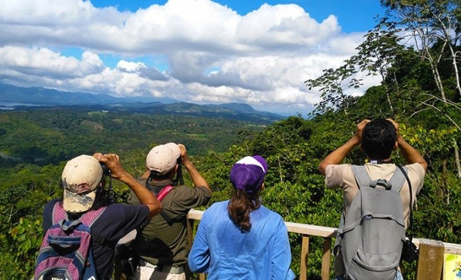 Seo/BirdLife concederá becas a la investigación y conservación sobre aves a jóvenes ornitólogos de 15 a 18 años