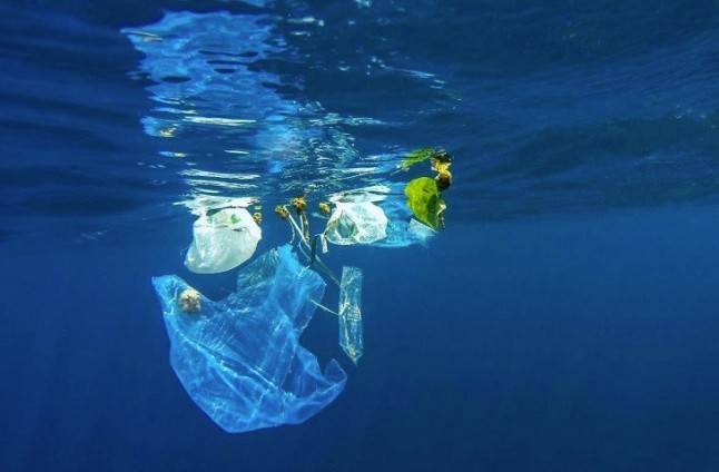 Europa ve prioritario atajar la basura marina y la gobernanza de los océanos