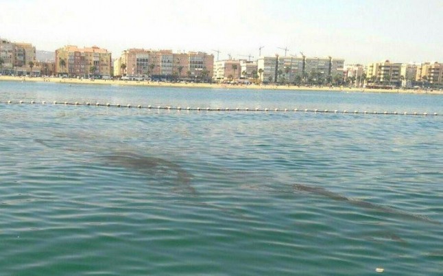 Asturias. Nuevo vertido en San Lorenzo