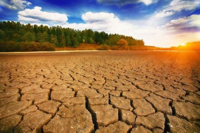 La Xunta de Galicia planta cara al cambio climático