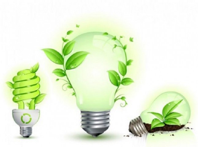 Cinco colegios de Palma de Mallorca pondrán en marcha el proyecto 50/50 de ahorro energético