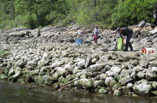 La cría de animales y vegetales marinos un modelo sostenible y seguro