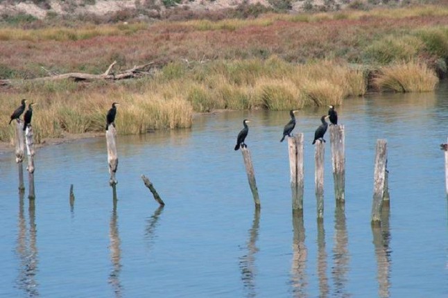 PP y PSOE impulsan en el Senado un trasvase de 19